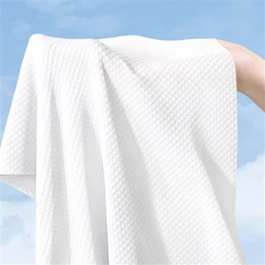 일회용 압축 목욕 타월